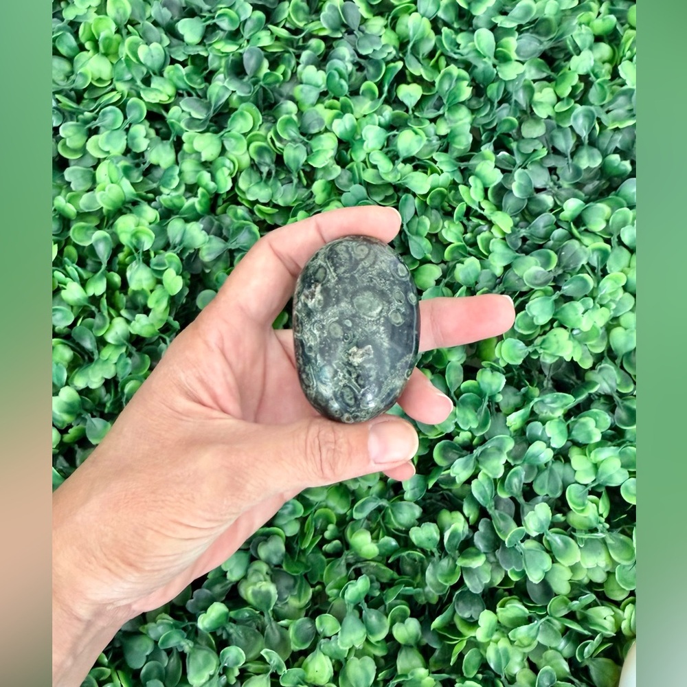 Kambaba Jasper Palmstone – Madagascar